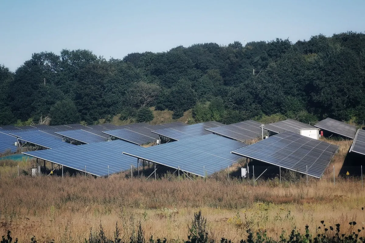 Solceller på en mark i solskin